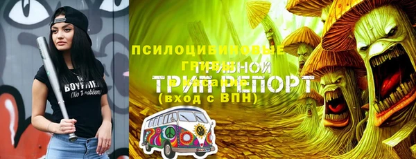 бошки Абаза